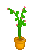 mini-graphics-flowers-841997.gif
