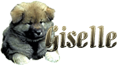 Giselle name graphics