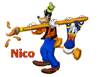 name-graphics-nico-745026
