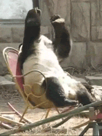picgifs-angry-sad-upset-341378.gif