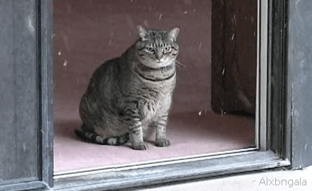 bored032%20watermark.gif