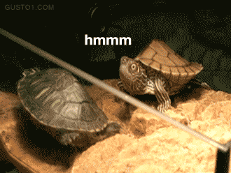 dat-ass023%20watermark.gif