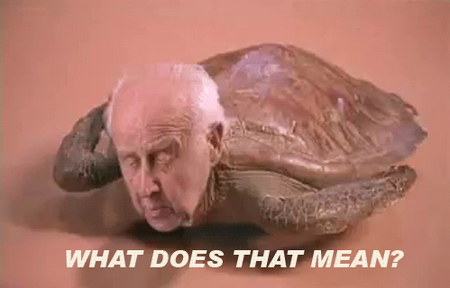 wtf031.gif