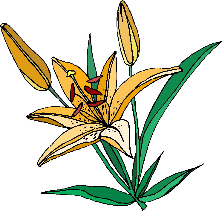 clipart plantas - photo #34