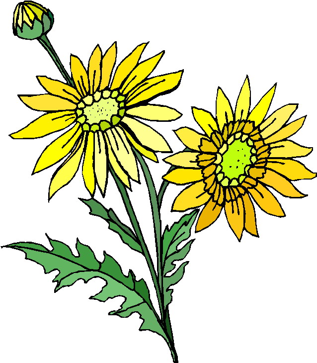 free clip art plants and flowers - photo #43