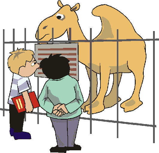 clipart for zoo - photo #27
