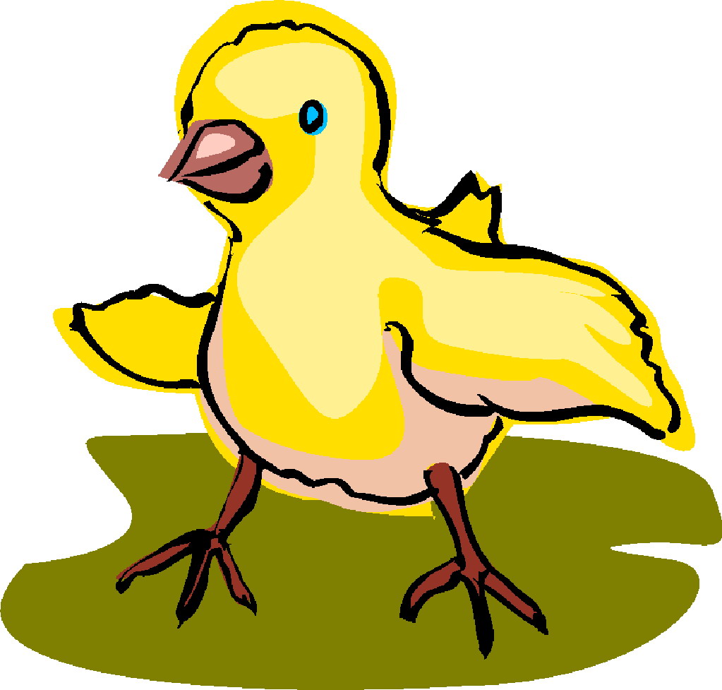 clipart pictures of chickens - photo #49