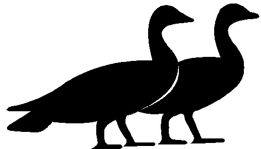 goose hunting clipart - photo #44