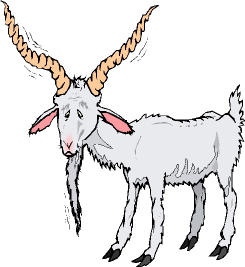 clipart baby goats - photo #50