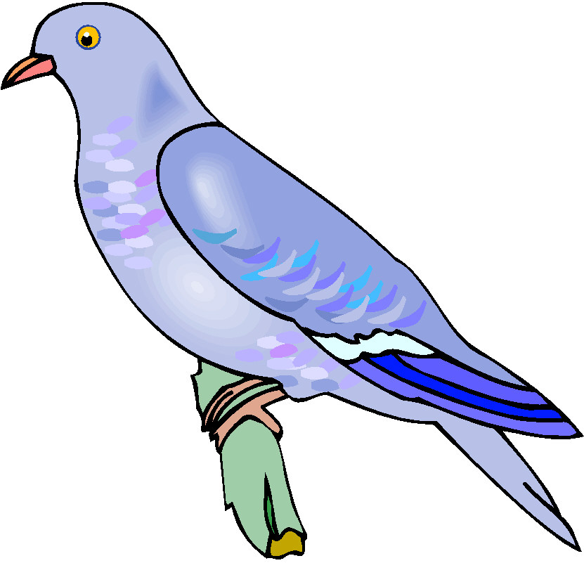 clipart pigeon - photo #14