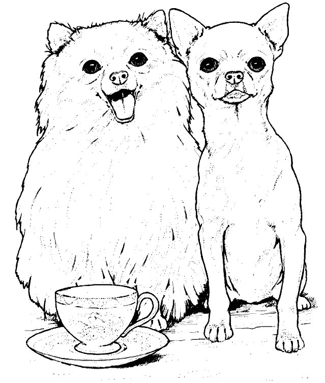 Coloring Page - Dog coloring pages 12