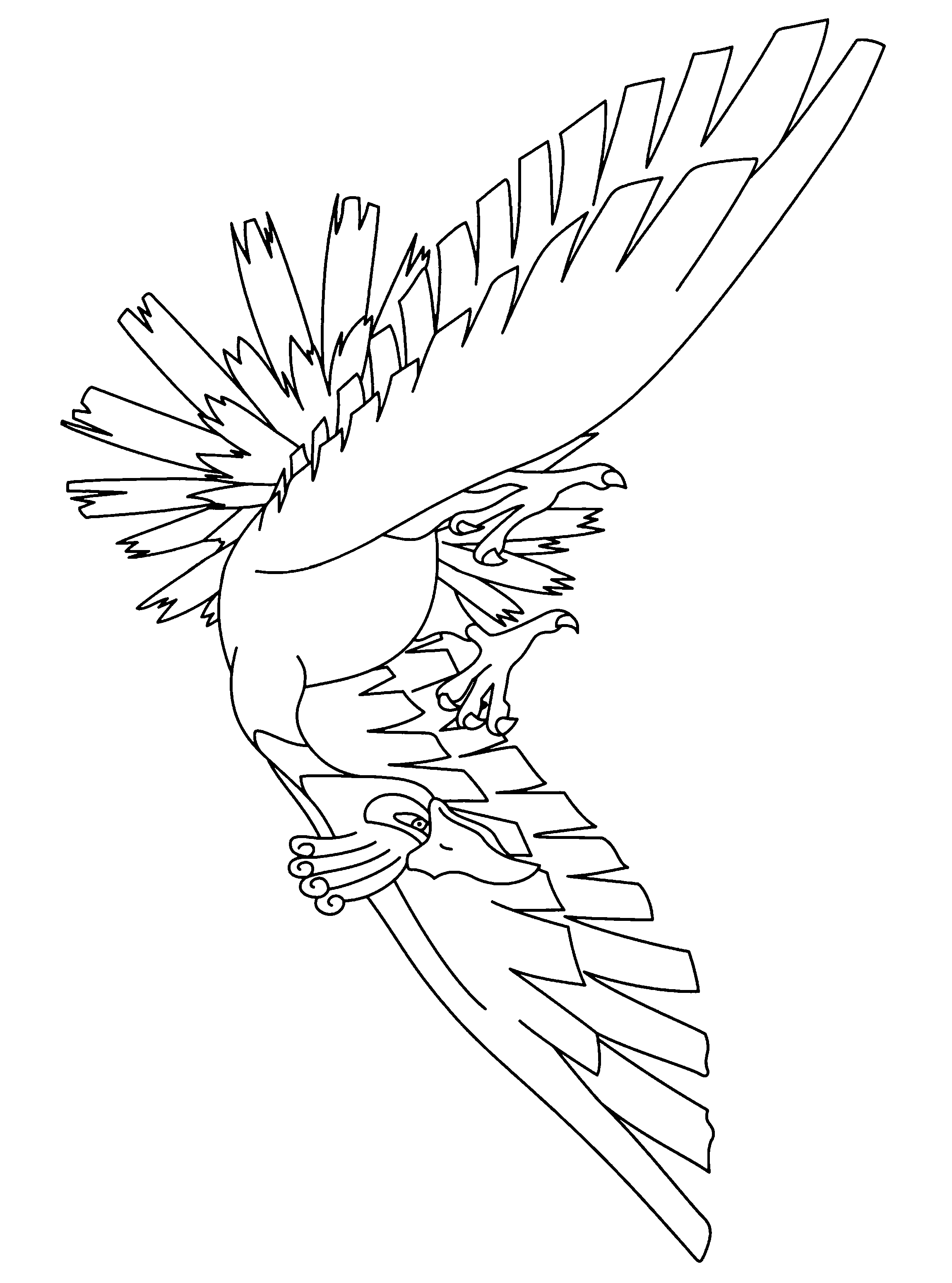 Pokemon Coloring Pages Hoenn Coloring Pages