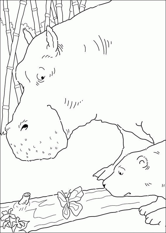Coloring Page - The little polar bear coloring pages 9