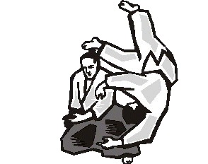 sport-graphics-aikido-561814
