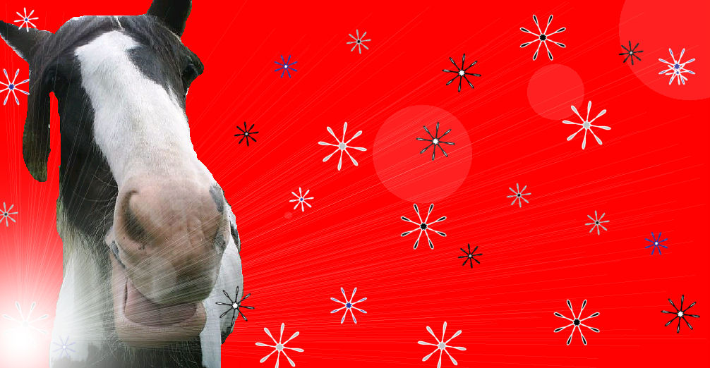 wallpapers horses. Horses wallpapers