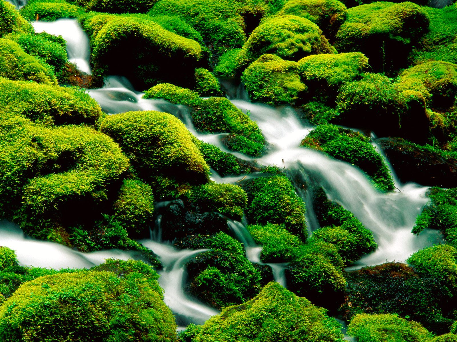 free wallpaper desktop wallpaper free desktop wallpapers free wallpaper desktop wallpaper free desktop wallpapers
