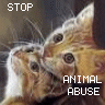 Animal abuse avatars