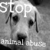 Animal abuse avatars