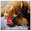 Animal abuse avatars