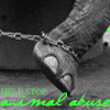Animal abuse avatars