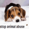 Animal abuse avatars