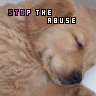 Animal abuse avatars