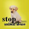 Animal abuse avatars