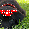 Animal abuse avatars
