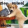 Animal abuse avatars