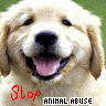 Animal abuse avatars