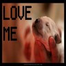 Animal abuse avatars