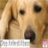 Animal abuse avatars