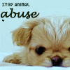 Animal abuse avatars