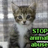 Animal abuse avatars