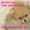 Animal abuse avatars