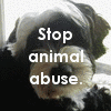 Animal abuse avatars