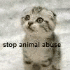 Animal abuse avatars