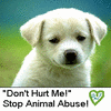 Animal abuse avatars