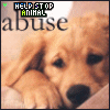 Animal abuse avatars