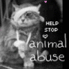 Animal abuse avatars