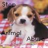 Animal abuse avatars
