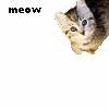 Animal abuse avatars