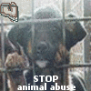 Animal abuse avatars