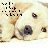 Animal abuse avatars