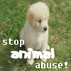 Animal abuse avatars