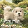 Animal abuse avatars