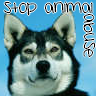 Animal abuse avatars