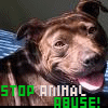 Animal abuse avatars