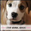 Animal abuse avatars