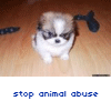 Animal abuse avatars
